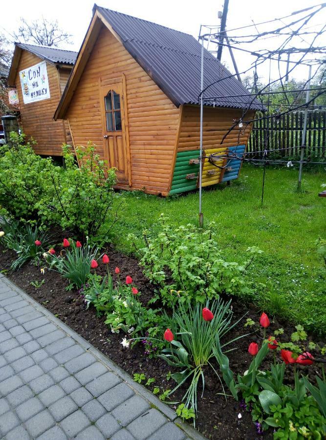 "У Пасічника" Котедж Для Сім'Ї 亚列姆切 外观 照片